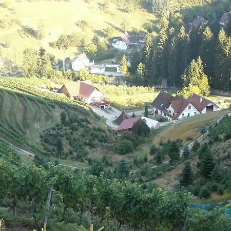 Steinhof アパート オーバーキルヒ