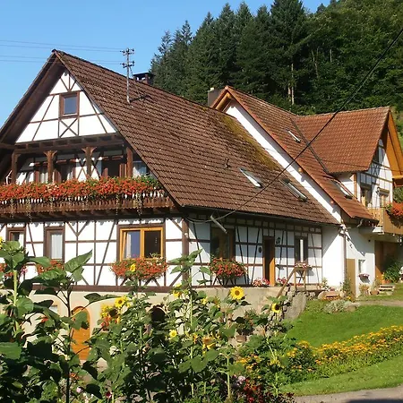 アパート Steinhof