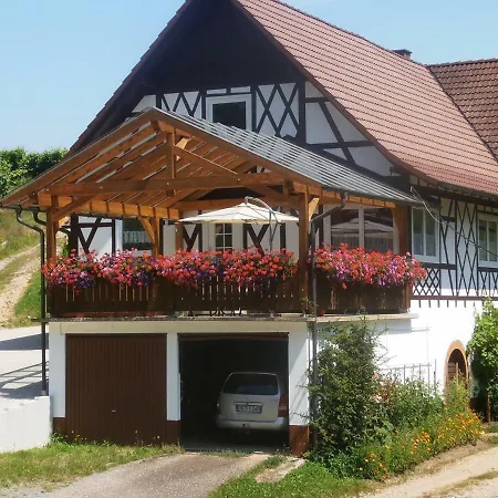 Steinhof アパート オーバーキルヒ