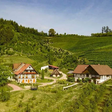 アパート Steinhof *