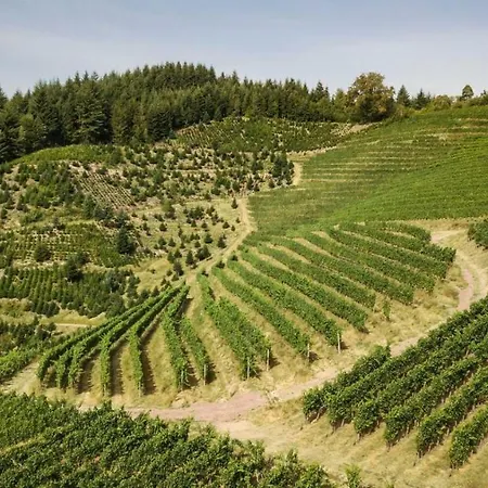 Steinhof アパート *