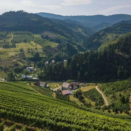 Steinhof * オーバーキルヒ