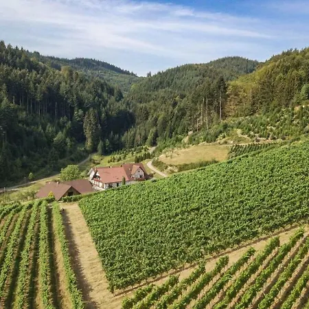 Steinhof * オーバーキルヒ